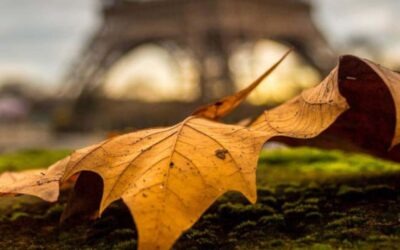 Que faire à Paris en novembre 2025 ?