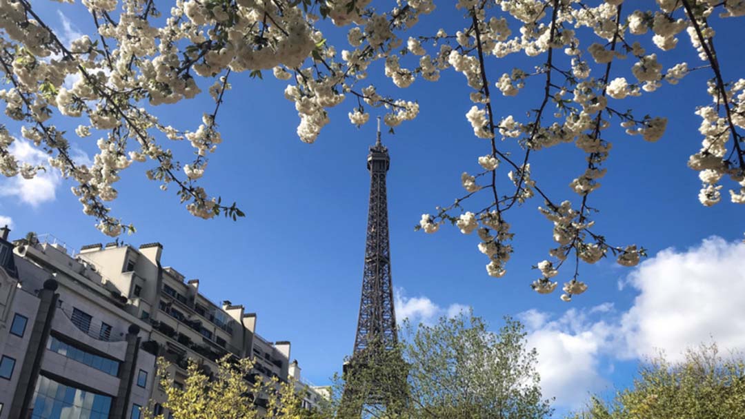 Que faire à Paris en mars 2026 ?
