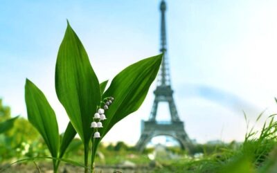 Que faire à Paris en mai 2026 ?