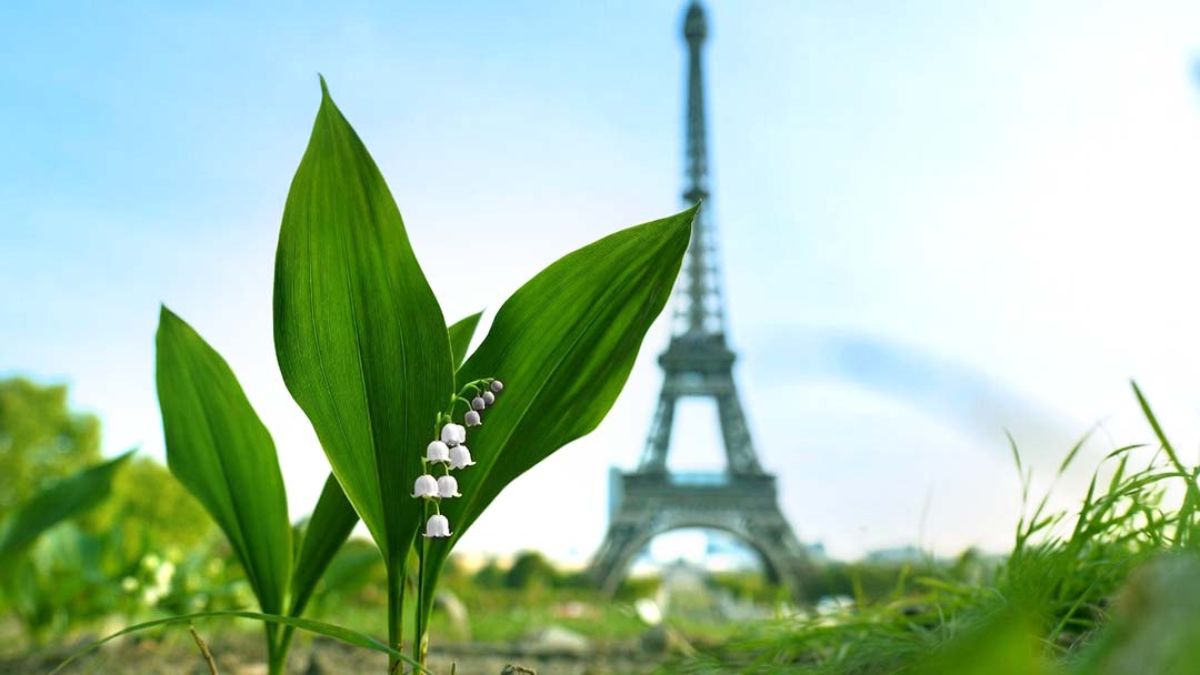 Que faire à Paris en mai 2026 ?